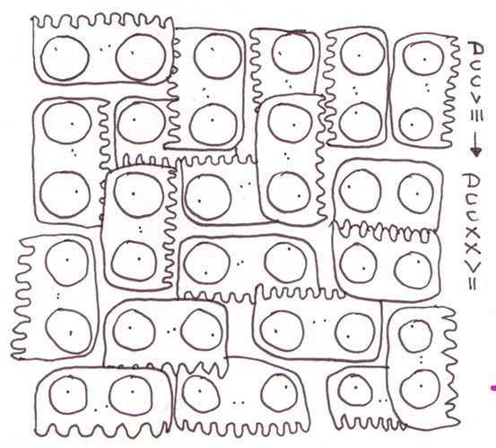 0708-0727
